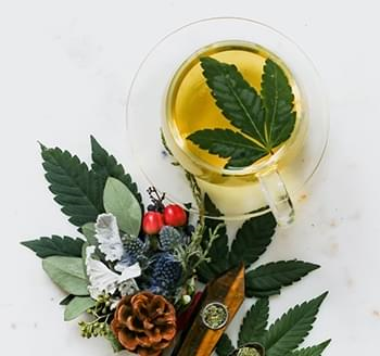 Top 5 Ayurvedic Herbs for Stress Relief